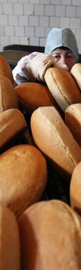 Bread