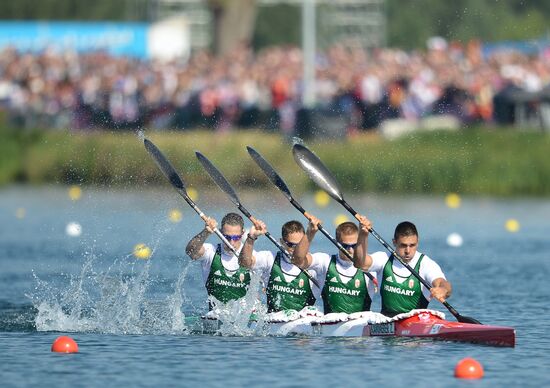 2012 Olympics. Canoe Sprint. Day Four
