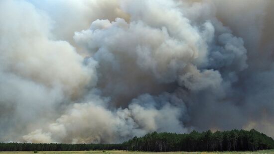 Large wildfire in Kherson Region, Ukraine