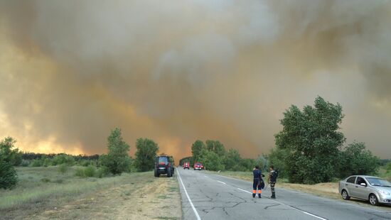 Large wildfire in Kherson Region, Ukraine