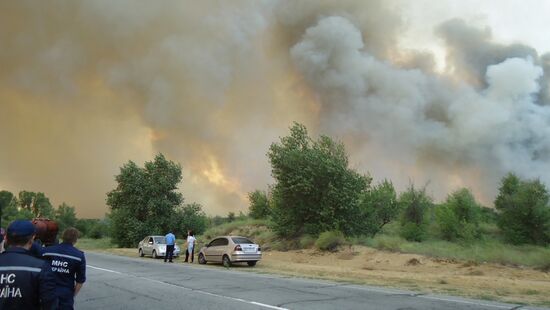 Large wildfire in Kherson Region, Ukraine