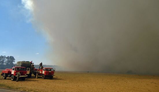 Large wildfire in Kherson Region, Ukraine