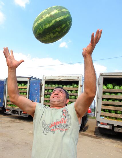Watermelon