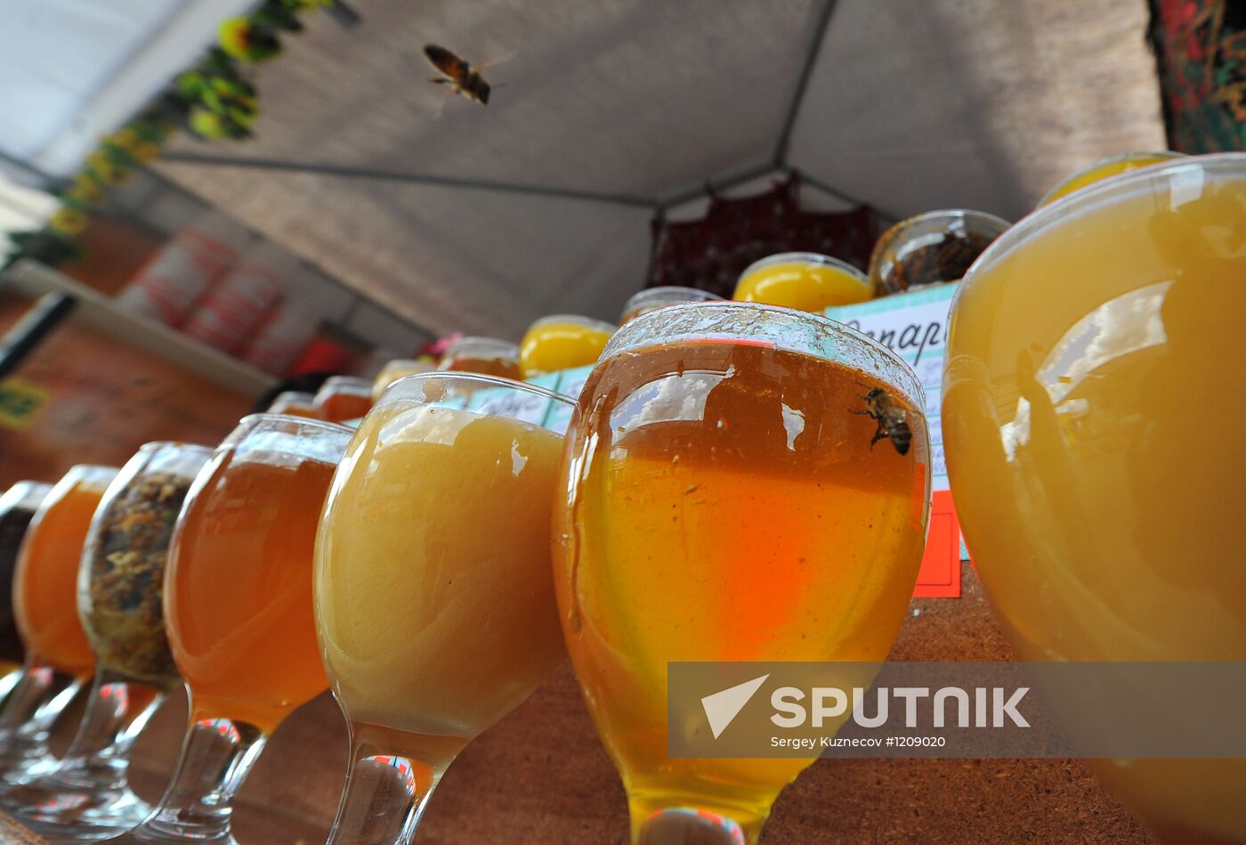Nationwide fair of honey in Kolomenskoye