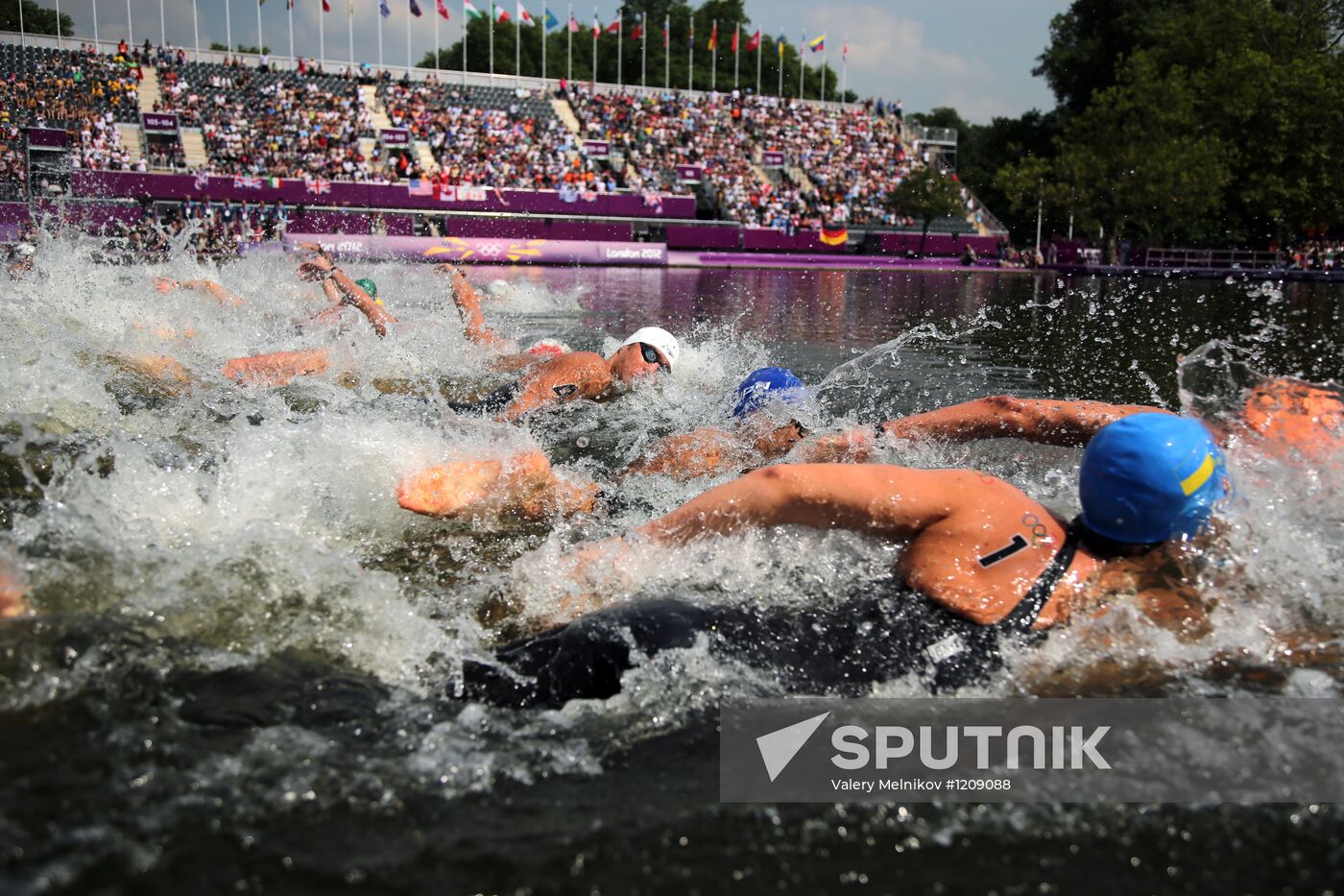 2012 Olympics. Men's 10-kilometer open-water swimming