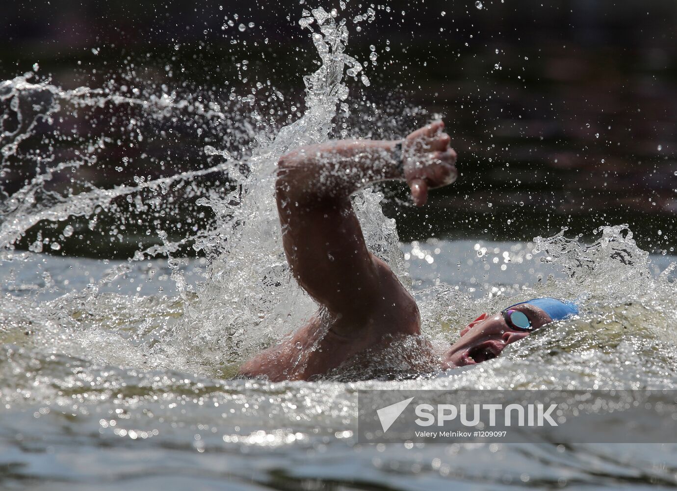2012 Olympics. Men's 10-kilometer open-water swimming