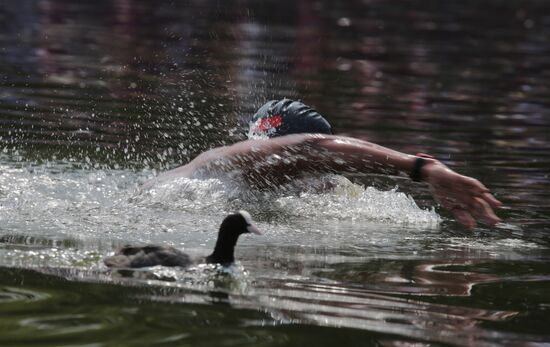 2012 Olympics. Men's 10-kilometer open-water swimming