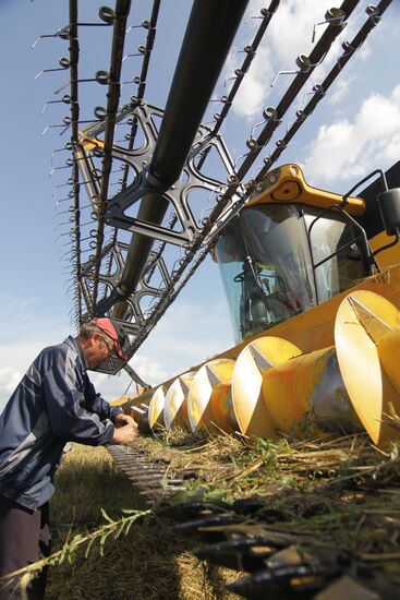 Harvesting in Tatarstan