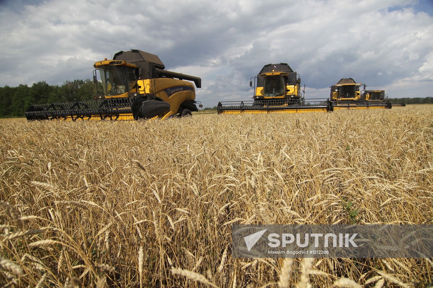 Harvesting in Tatarstan