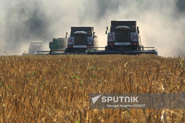 Harvesting of barley on SAHO fields in Novosibirsk Region