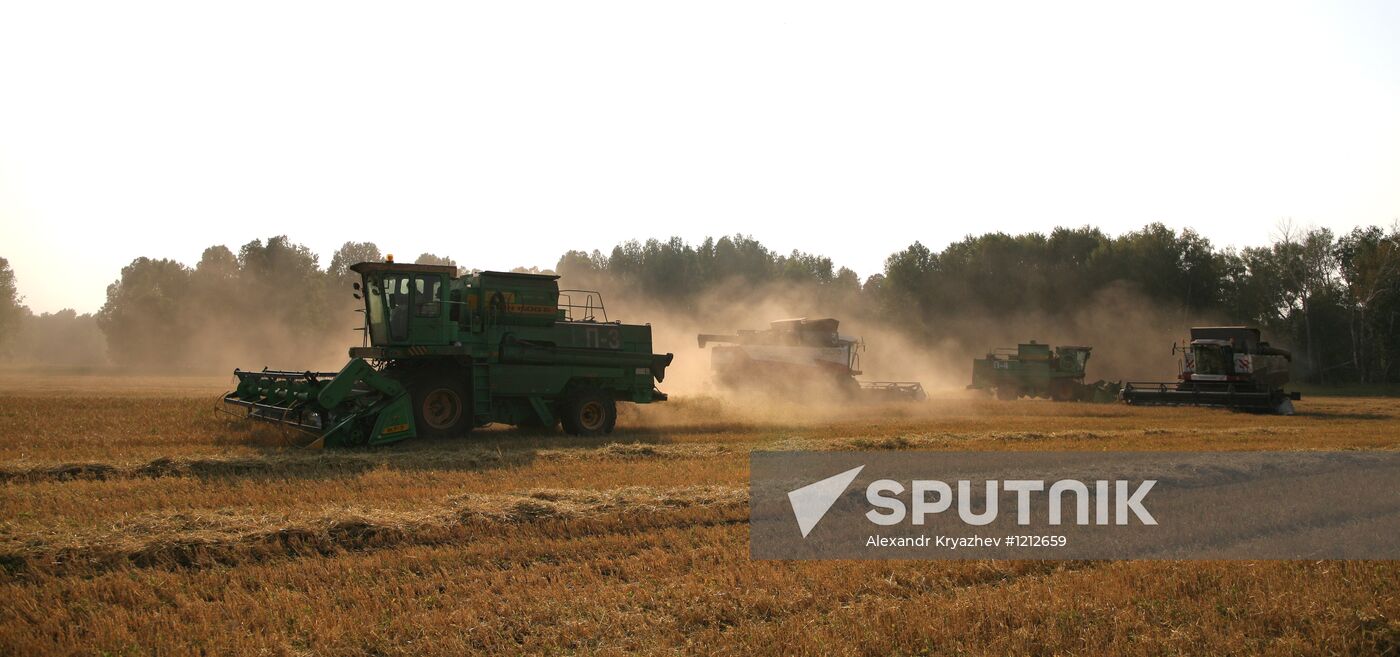 Harvesting of barley on SAHO fields in Novosibirsk Region