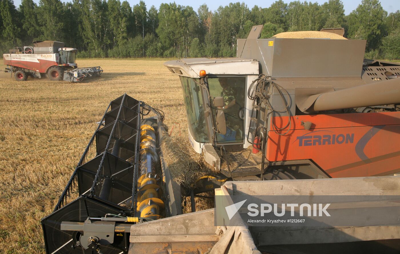 Harvesting of barley in fields of Siberian Agrarian Holding