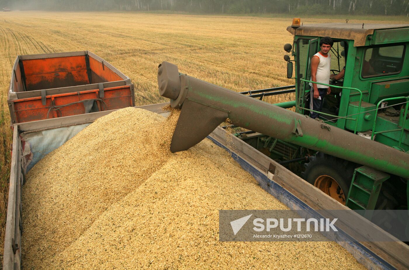 Harvesting barley crop in SAHO fields in Novosibirsk region