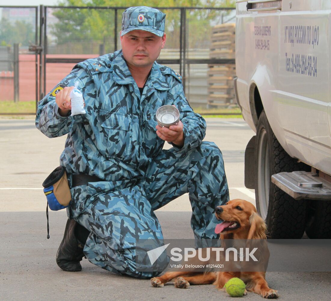 Work of Canine Service Center