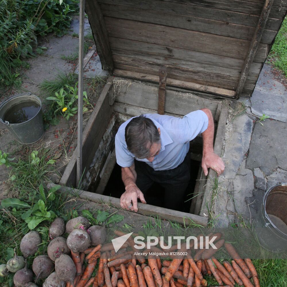 Cellar