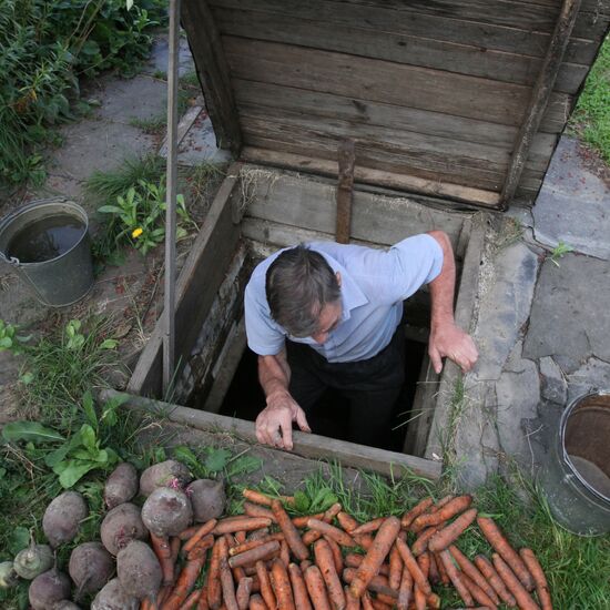 Cellar