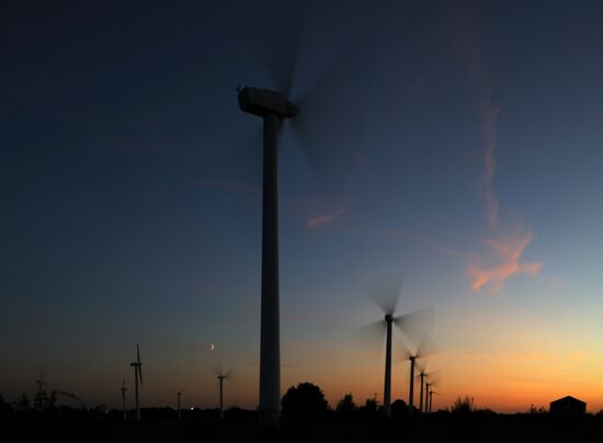 Russian Cities. Zelenogradsk