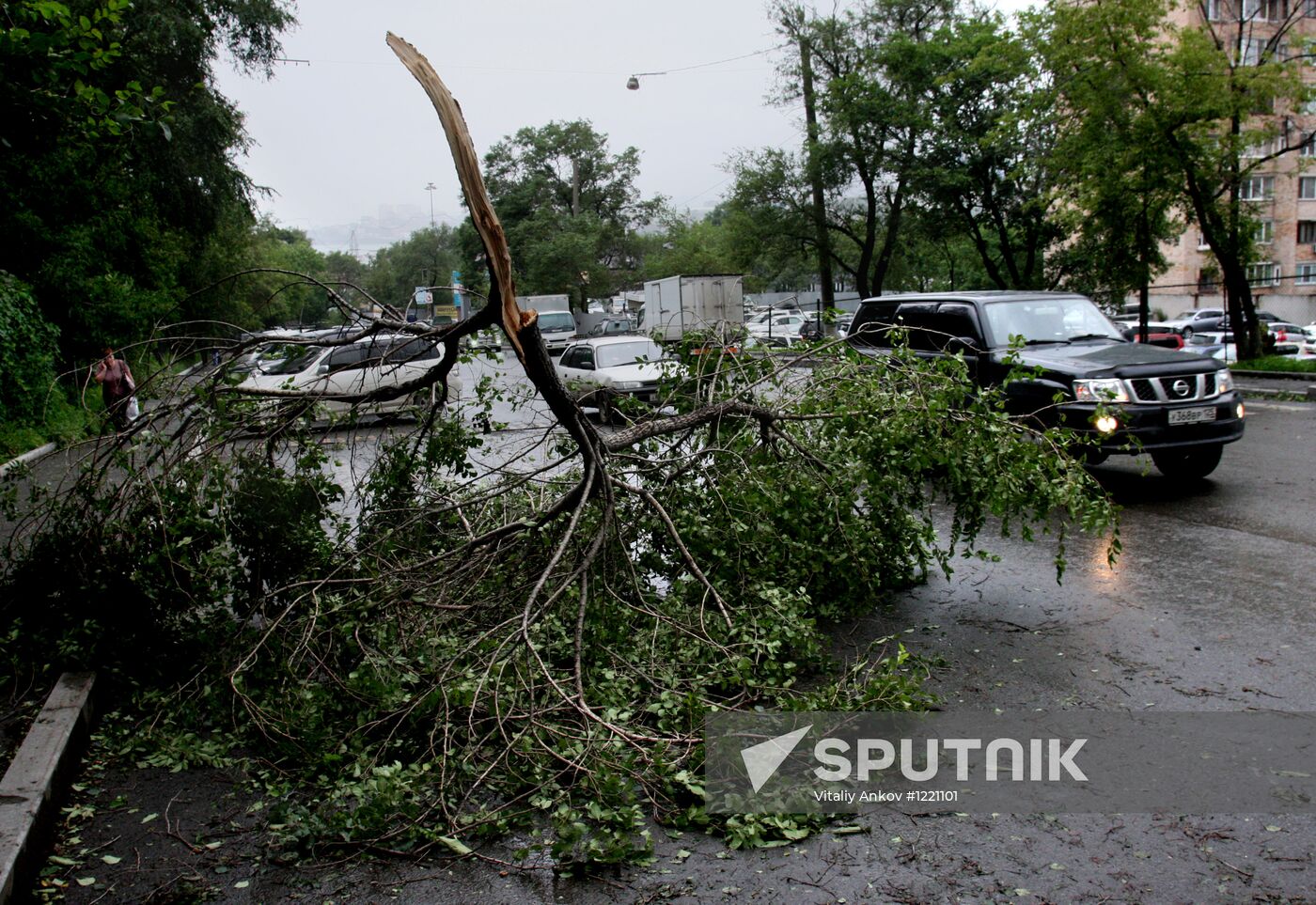 Typhoon Bolaven in Primorye Territory