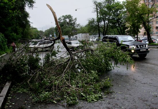 Typhoon Bolaven in Primorye Territory