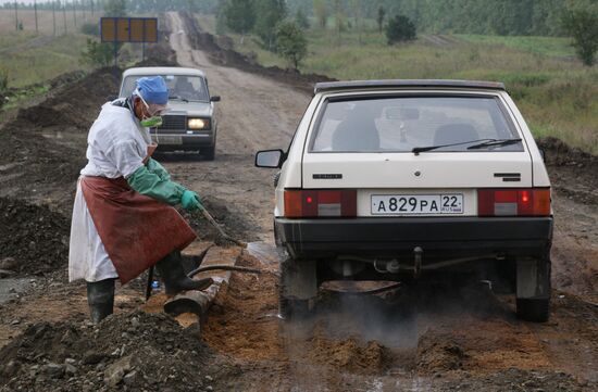 Anthrax outbreak in Altai Territory