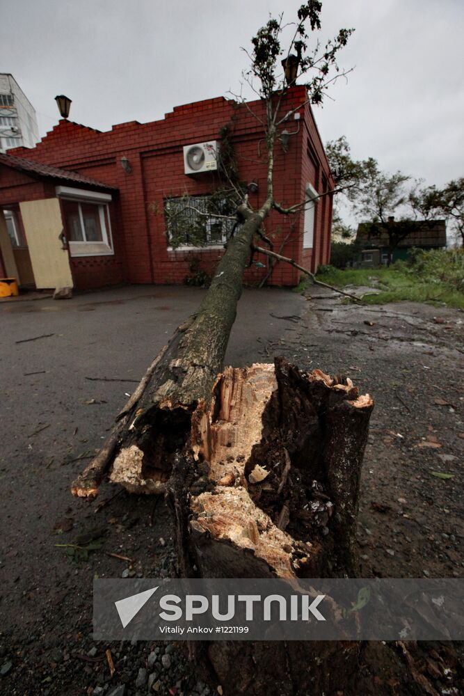 Typhoon Bolaven in Primorye Territory
