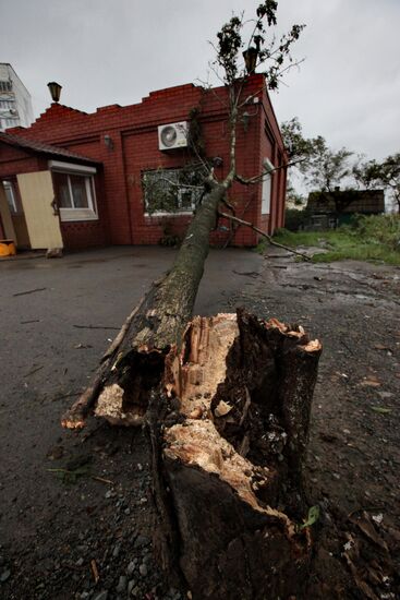 Typhoon Bolaven in Primorye Territory