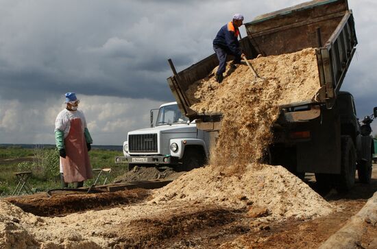 Anthrax outbreak in Altai Territory