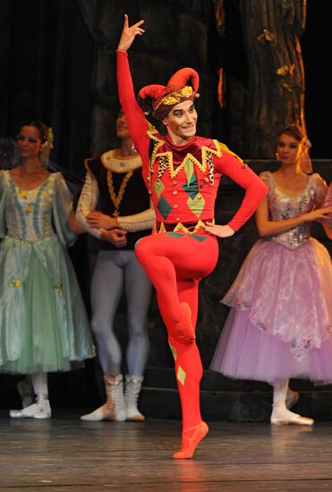 Swan Lake performed in Moscow