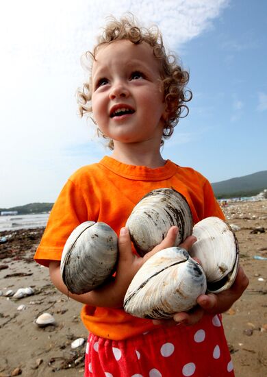 Tons of edible shellfish washed ashore in Primorye Territory