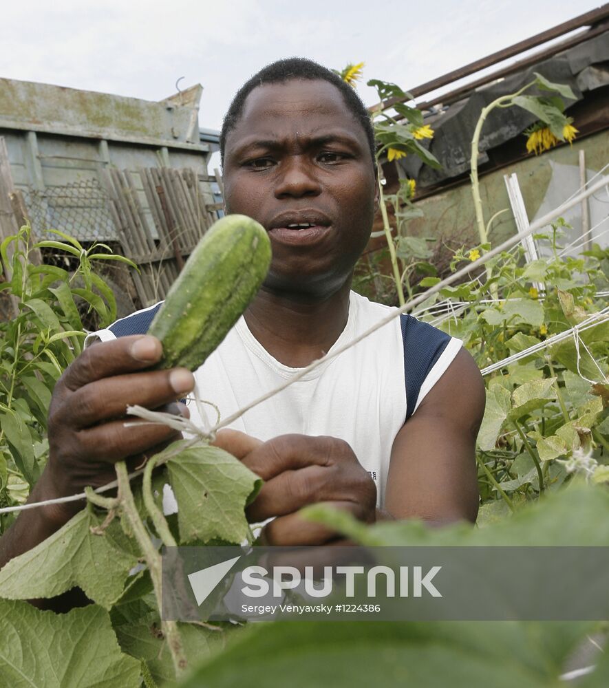 Farmer Joakim Krema