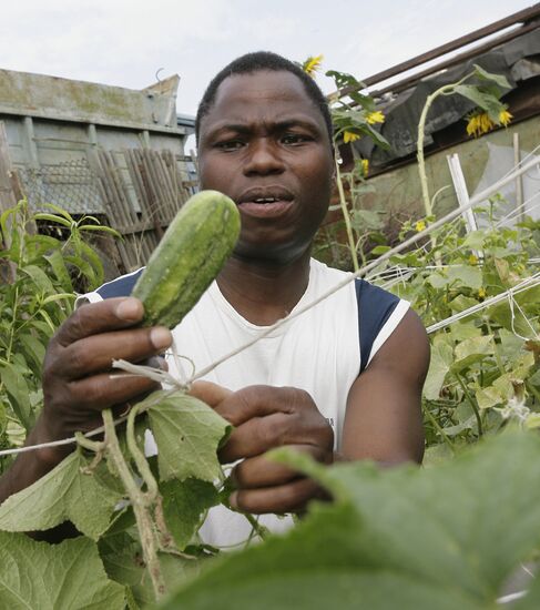 Farmer Joakim Krema
