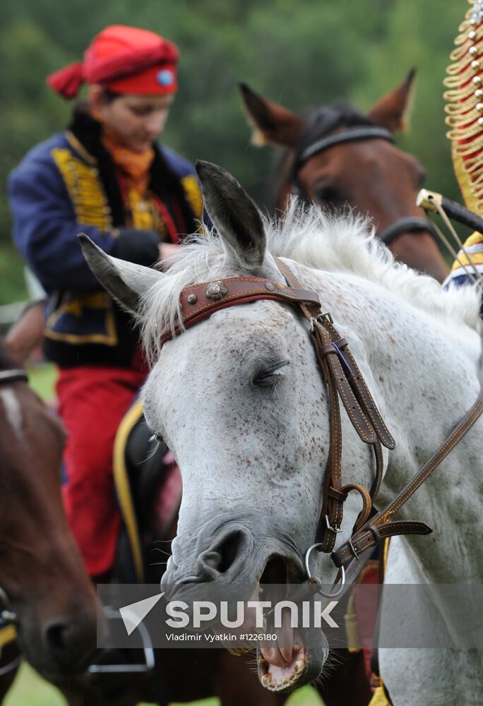 Day of Borodino military and historic festival