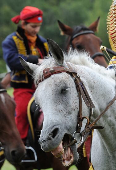 Day of Borodino military and historic festival