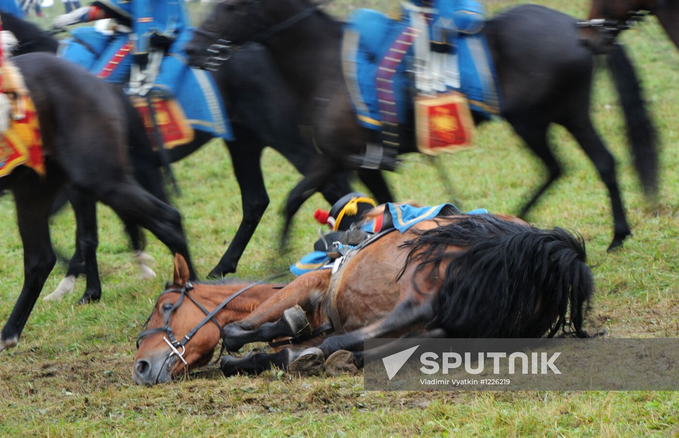 Day of Borodino military and historic festival
