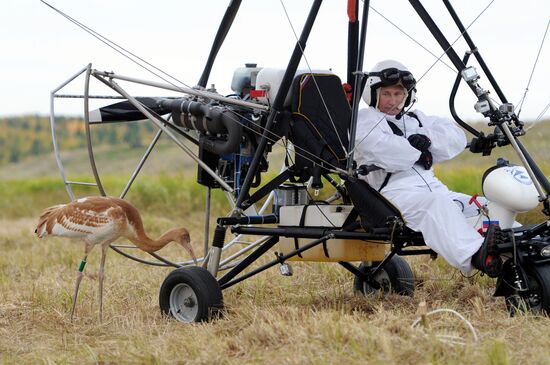 V. Putin takes part in an environmental project "Flight of Hope"