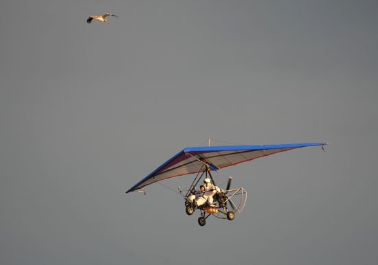 V. Putin takes part in an environmental project "Flight of Hope"