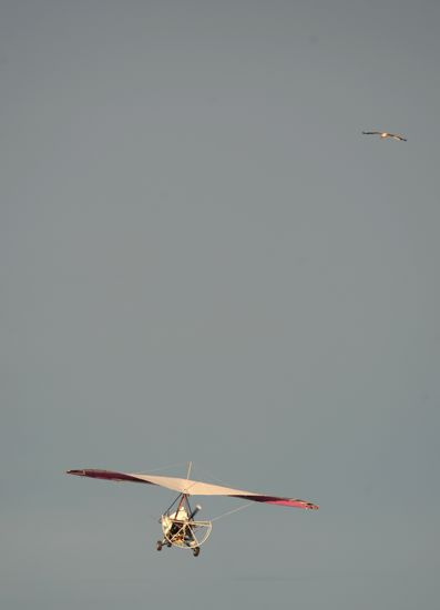 V. Putin takes part in an environmental project "Flight of Hope"
