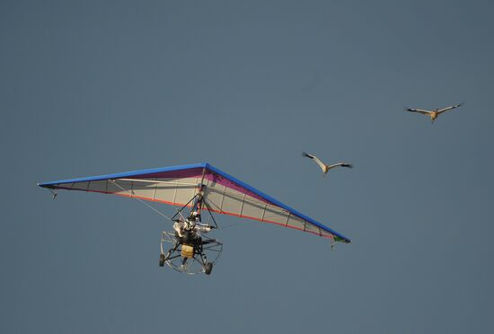 V. Putin takes part in an environmental project "Flight of Hope"