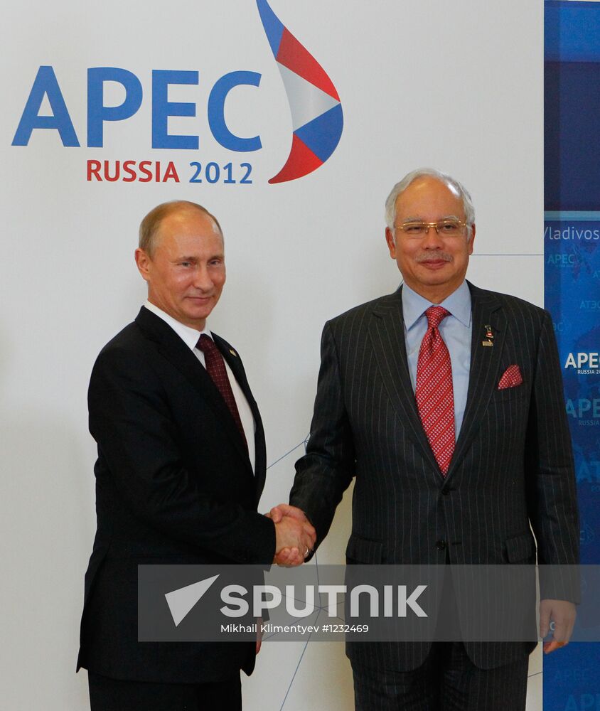 APEC economic leaders gather for their first meeting