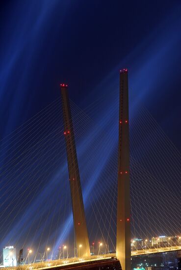 Fireworks and laser show to mark APEC-2012 Leaders' Week