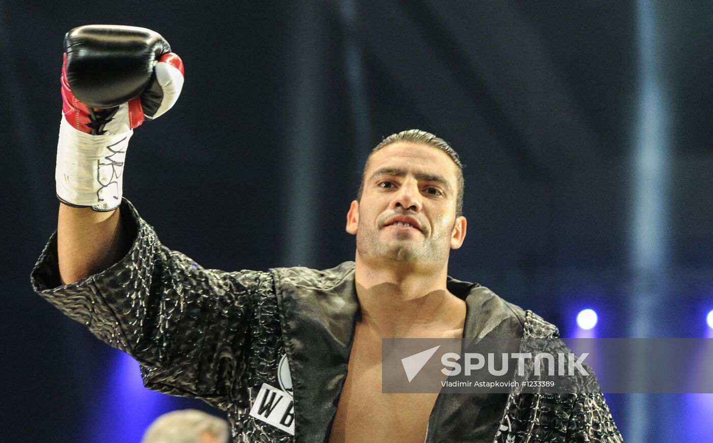 Boxing. Match between Vitali Klitschko and Manuel Charr