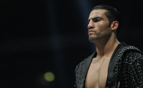 Boxing. Match between Vitali Klitschko and Manuel Charr