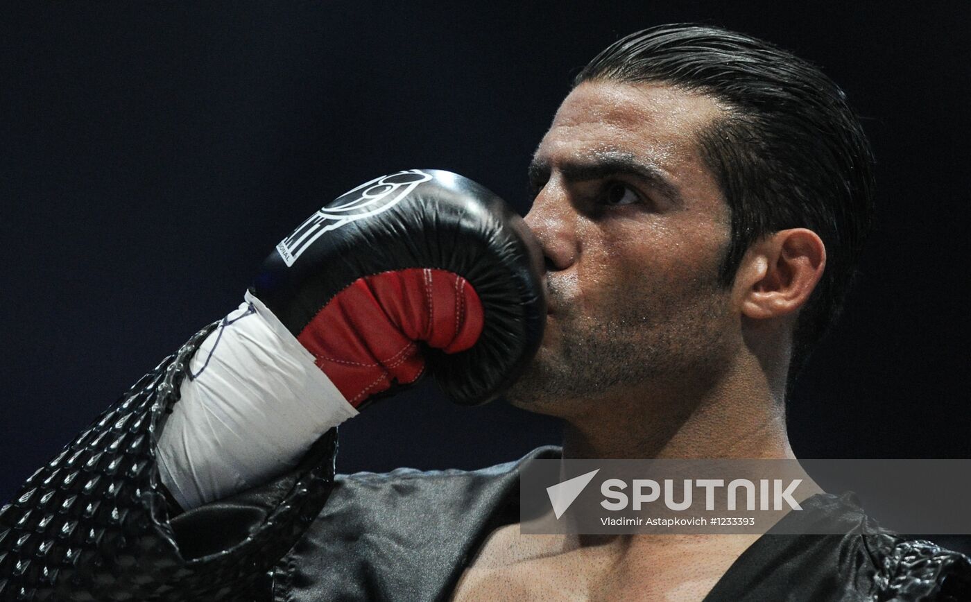 Boxing. Match between Vitali Klitschko and Manuel Charr