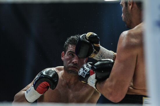 Boxing. Match between Vitali Klitschko and Manuel Charr