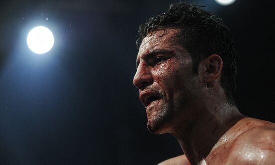 Boxing. Match between Vitali Klitschko and Manuel Charr