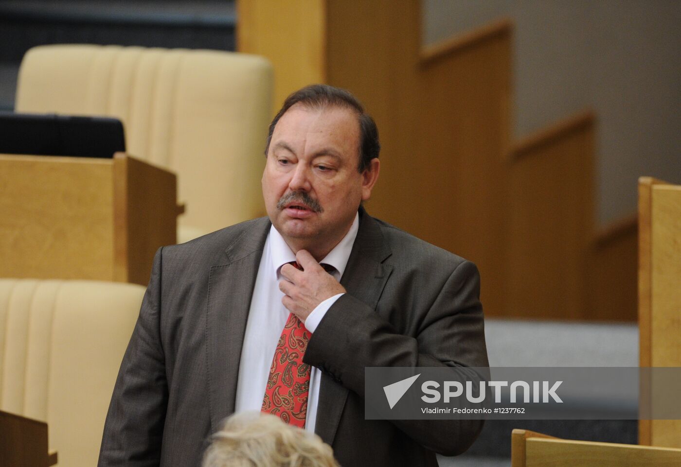 State Duma plenary session
