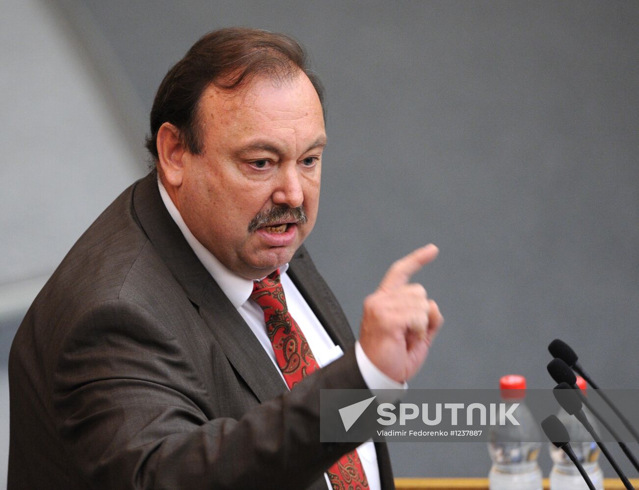 State Duma plenary session