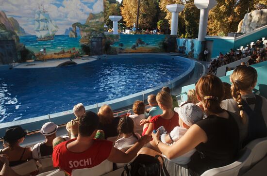 Russia's largest dolphinarium opens in Sochi