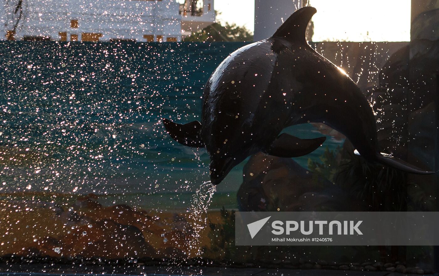 Russia's largest dolphinarium opens in Sochi