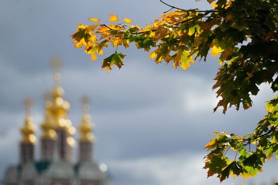 The park at Novodevichy Convent